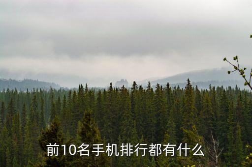 最新款手機(jī)排行榜前十名，國產(chǎn)手機(jī)排行榜前十名