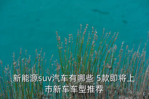 新能源suv汽車有哪些 5款即將上市新車車型推薦