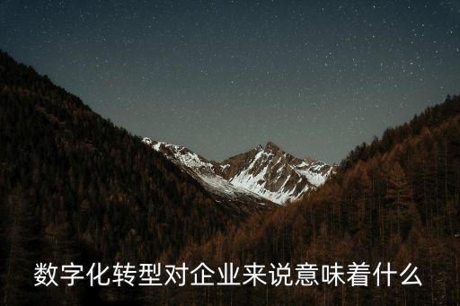 科技賦能數(shù)字化轉型的看法，數(shù)字化轉型方面軟通動力的整體表現(xiàn)大家有什么看法