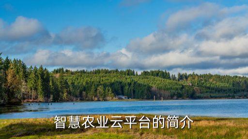 農(nóng)業(yè)智慧服務(wù)平臺(tái)，智慧農(nóng)業(yè)云平臺(tái)的簡(jiǎn)介
