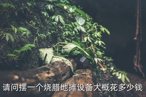 擺地攤燒餅機，請問擺一個燒臘地攤設備大概花多少錢