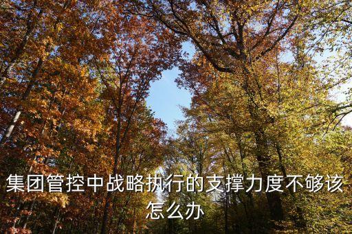 集團(tuán)管控中戰(zhàn)略執(zhí)行的支撐力度不夠該怎么辦