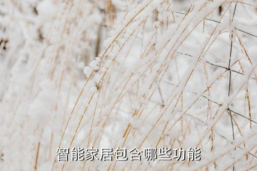 智能家居包含哪些功能