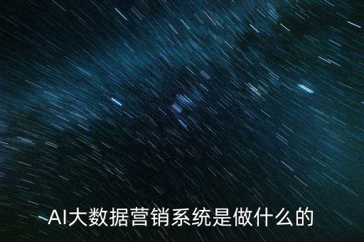 AI大數(shù)據(jù)營銷系統(tǒng)是做什么的