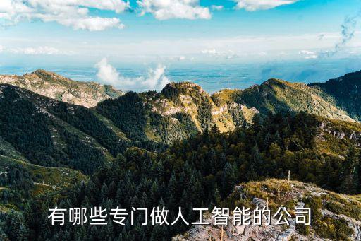 人工智能產(chǎn)品代理公司，有哪些專門做人工智能的公司