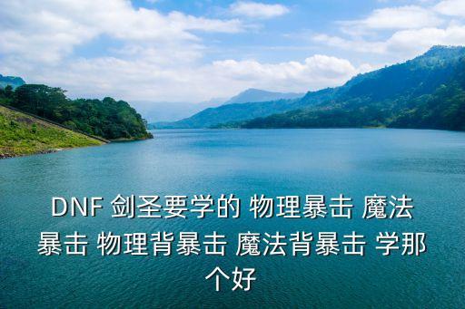 DNF 劍圣要學(xué)的 物理暴擊 魔法暴擊 物理背暴擊 魔法背暴擊 學(xué)那個好