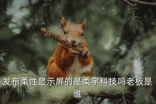 發(fā)布柔性顯示屏的是柔宇科技嗎老板是誰(shuí)