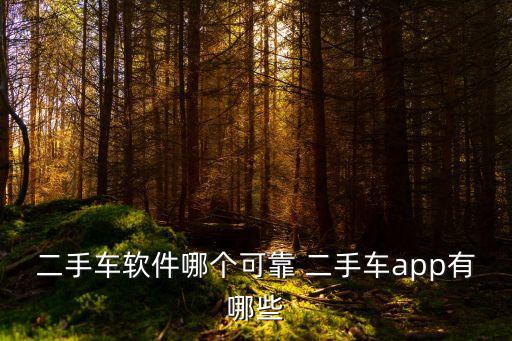 二手車軟件哪個可靠 二手車app有哪些