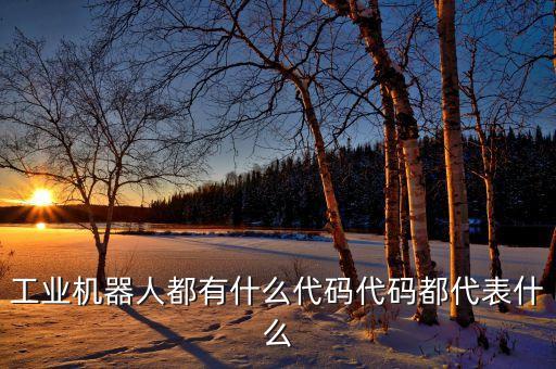 工業(yè)機(jī)器人都有什么代碼代碼都代表什么