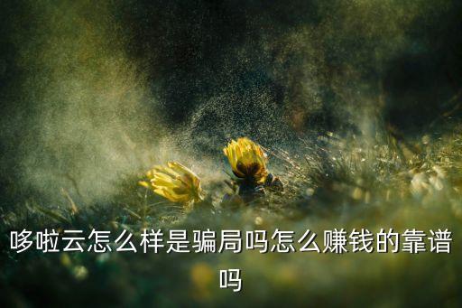哆啦生活APP可靠嗎，看到有個品值APP分期賣手機靠譜嗎