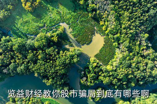 覽益財經(jīng)教你股市騙局到底有哪些啊