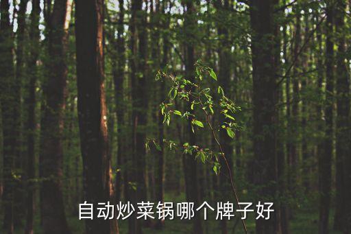自動(dòng)炒菜鍋哪個(gè)牌子好