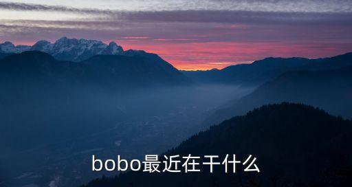 bobo最近在干什么