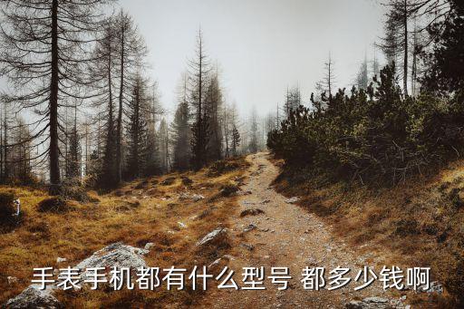 手表手機(jī)都有什么型號 都多少錢啊