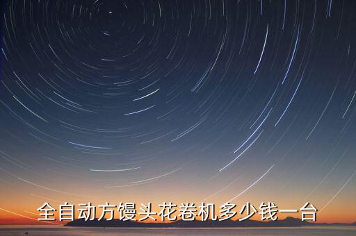 全自動(dòng)方饅頭花卷機(jī)多少錢一臺(tái)