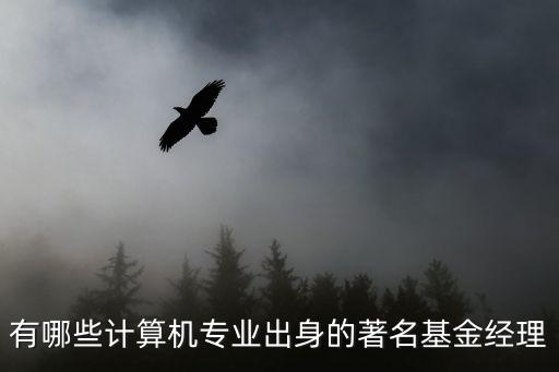 有哪些計算機專業(yè)出身的著名基金經(jīng)理