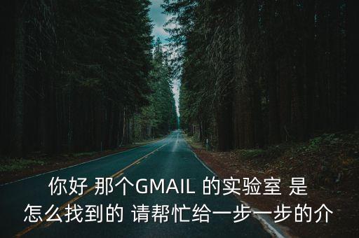你好 那個(gè)GMAIL 的實(shí)驗(yàn)室 是怎么找到的 請(qǐng)幫忙給一步一步的介