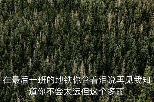 在最后一班的地鐵你含著淚說再見我知道你不會(huì)太遠(yuǎn)但這個(gè)多雨