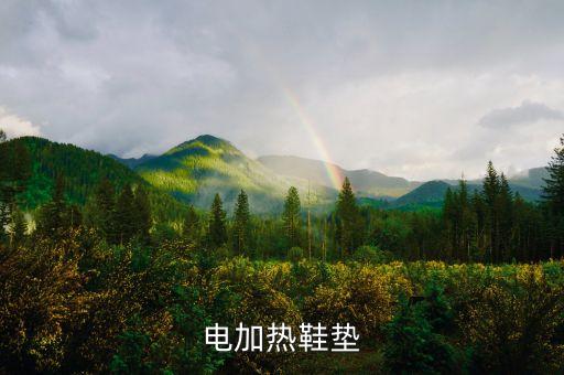 電加熱鞋墊