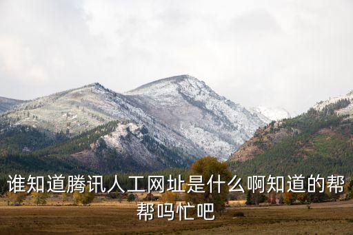 誰知道騰訊人工網(wǎng)址是什么啊知道的幫幫嗎忙吧