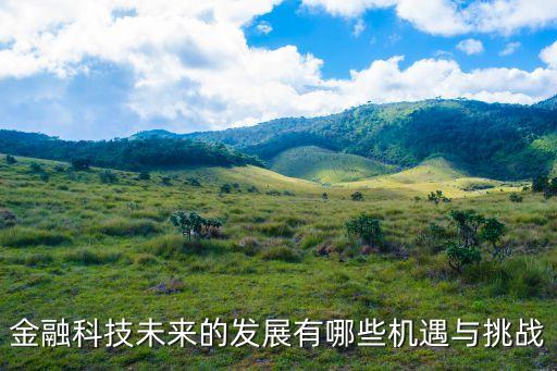 金融科技未來的發(fā)展有哪些機遇與挑戰(zhàn)