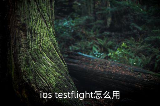 ios testflight怎么用