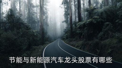 汽車新能源股票龍頭股，新能源汽車龍頭股票都有哪些