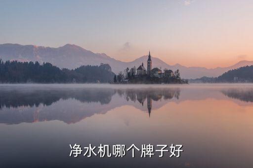 凈化飲水機(jī)哪個(gè)品牌質(zhì)量好，什么牌子的凈水機(jī)質(zhì)量好