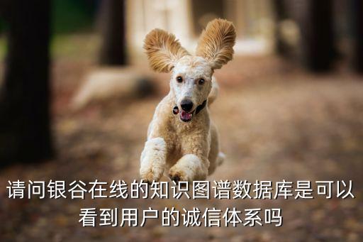 請(qǐng)問(wèn)銀谷在線的知識(shí)圖譜數(shù)據(jù)庫(kù)是可以看到用戶的誠(chéng)信體系嗎