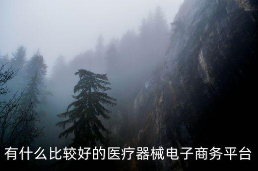 有什么比較好的醫(yī)療器械電子商務(wù)平臺(tái)