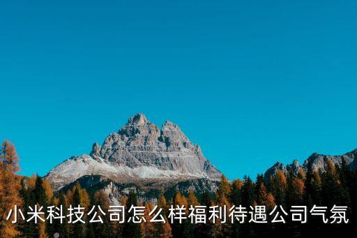 萌米科技有限公司怎么樣，科技有限公司這個公司怎么樣有發(fā)展前景嘛
