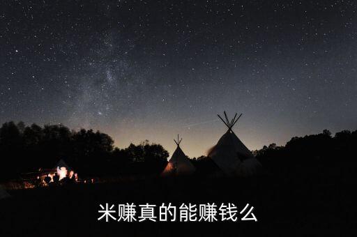 米賺真的能賺錢么