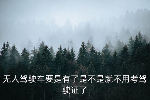 無人駕駛車要是有了是不是就不用考駕駛證了