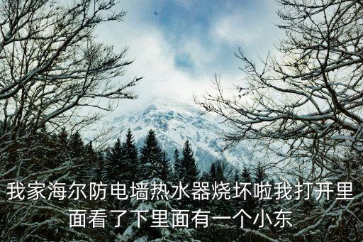 熱水器溫控器圖片，請教高手關(guān)于電熱水器的控制電路圖
