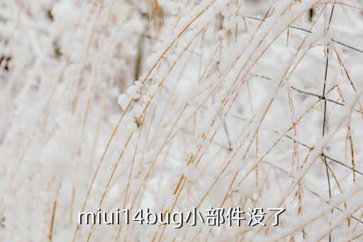 miui14小部件，我的小米手機(jī)桌面出現(xiàn)了載入窗口小部件時(shí)出現(xiàn)問(wèn)題的字樣還