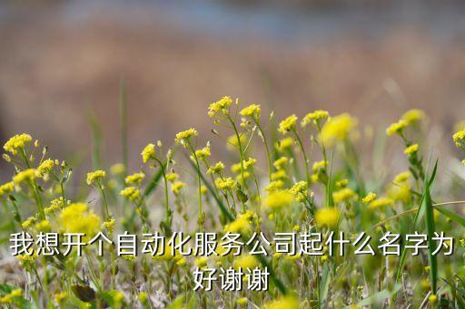 自動化公司取什么名字好，自動化公司起個名字好記新穎的