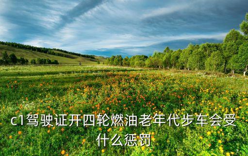 c1駕駛證開(kāi)四輪燃油老年代步車會(huì)受什么懲罰