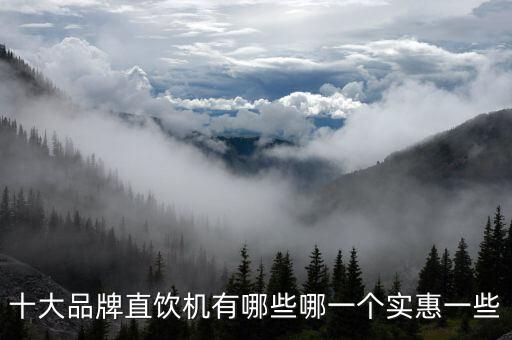 十大品牌直飲機(jī)有哪些哪一個(gè)實(shí)惠一些