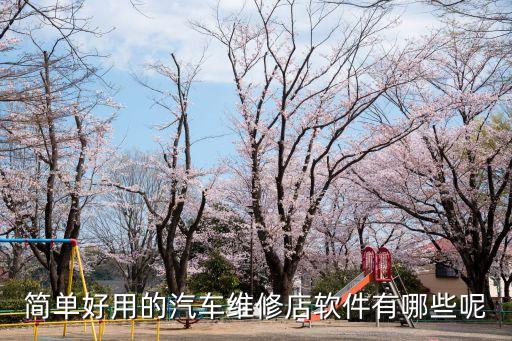 簡單好用的汽車維修店軟件有哪些呢