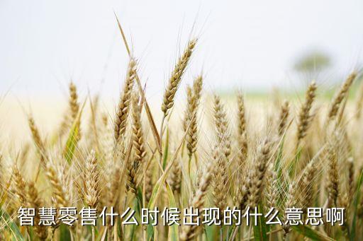 智慧零售什么時(shí)候出現(xiàn)的什么意思啊