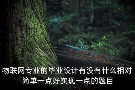 基于物聯(lián)網(wǎng)的畢業(yè)設(shè)計(jì)，物聯(lián)網(wǎng)做畢業(yè)設(shè)計(jì)簡單的項(xiàng)目 有哪些QAQ