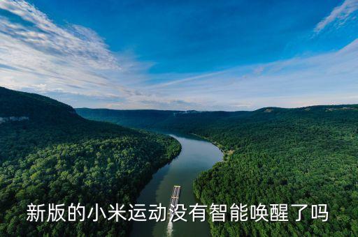 新版的小米運(yùn)動(dòng)沒有智能喚醒了嗎