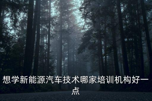 想學新能源汽車技術哪家培訓機構好一點