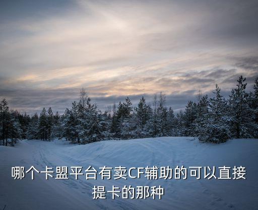 哪個(gè)卡盟平臺(tái)有賣(mài)CF輔助的可以直接提卡的那種