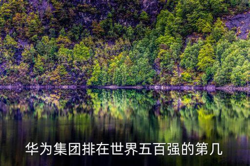 華為集團排在世界五百強的第幾
