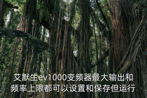 艾默生變頻器EV1000，艾默生ev1000變頻器最大輸出和頻率上限都可以設(shè)置和保存但運(yùn)行