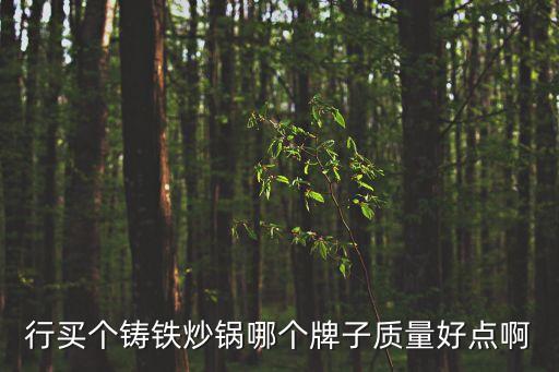 行買個(gè)鑄鐵炒鍋哪個(gè)牌子質(zhì)量好點(diǎn)啊