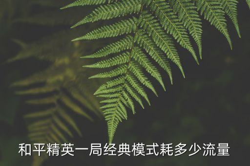 和平精英一局經(jīng)典模式耗多少流量