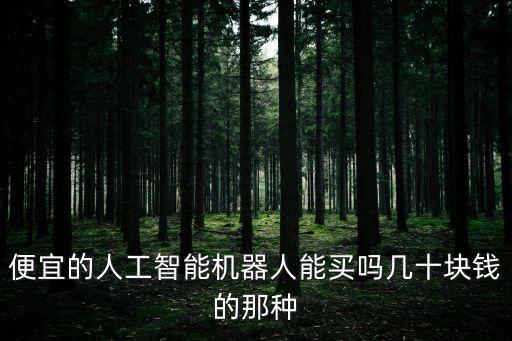 便宜的人工智能機(jī)器人能買嗎幾十塊錢的那種