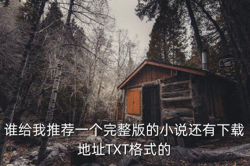 誰給我推薦一個(gè)完整版的小說還有下載地址TXT格式的
